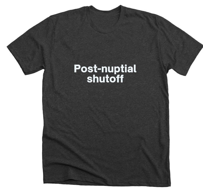 Post-Nuptial Shutoff - The Shirt